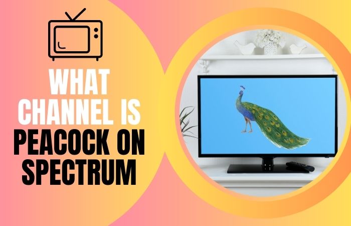 What Channel is Peacock on Spectrum