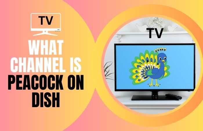 What Channel is Peaco﻿ck on Dish